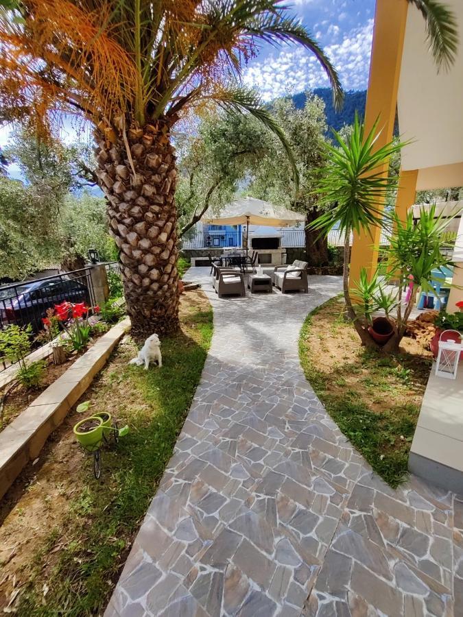 Apartament Apollon *