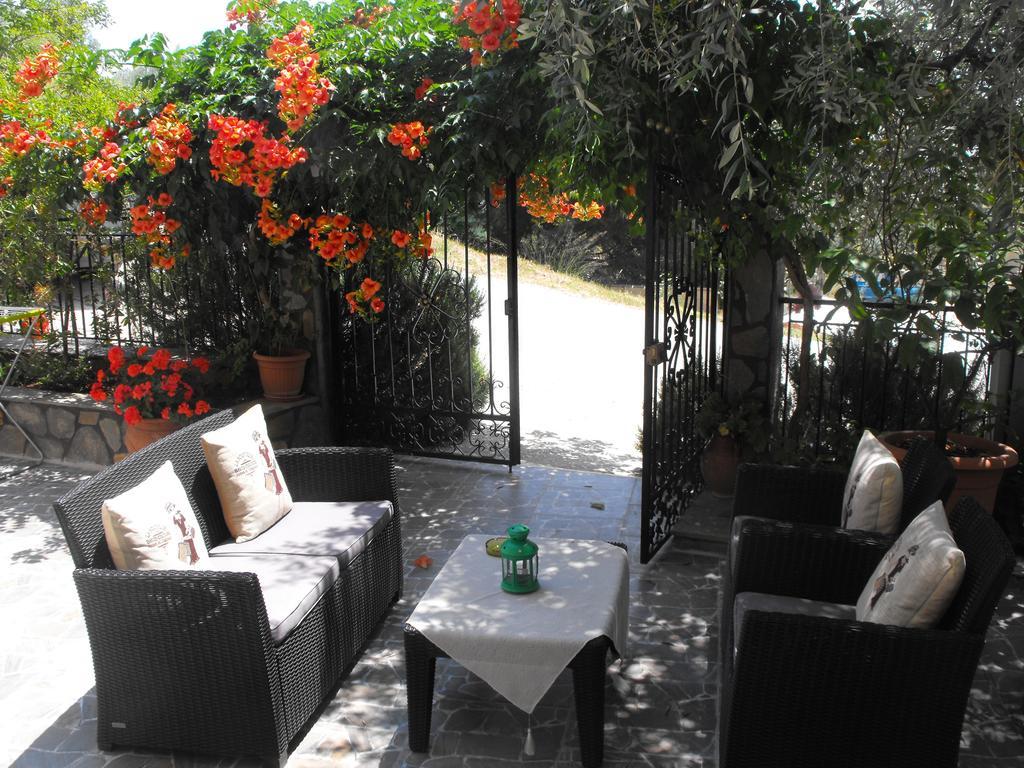 Apollon Apartament Chrysi Ammoudia