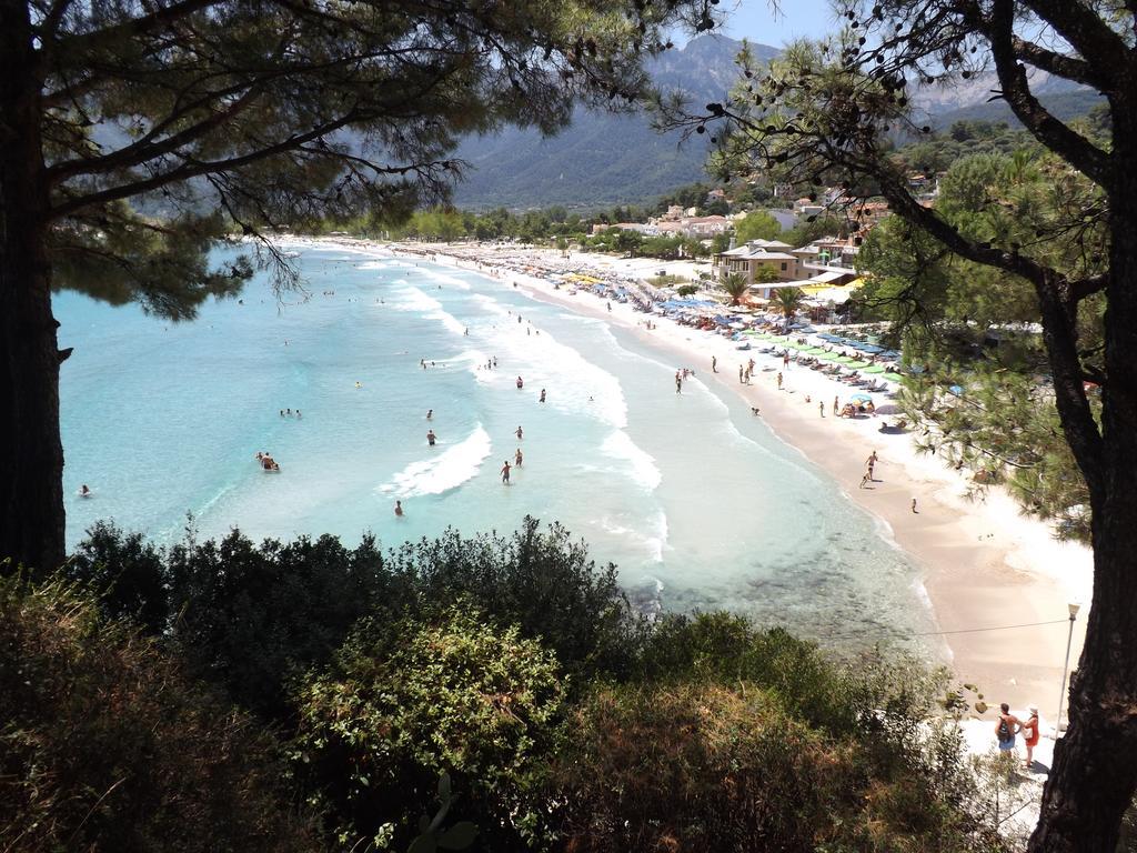 Apollon